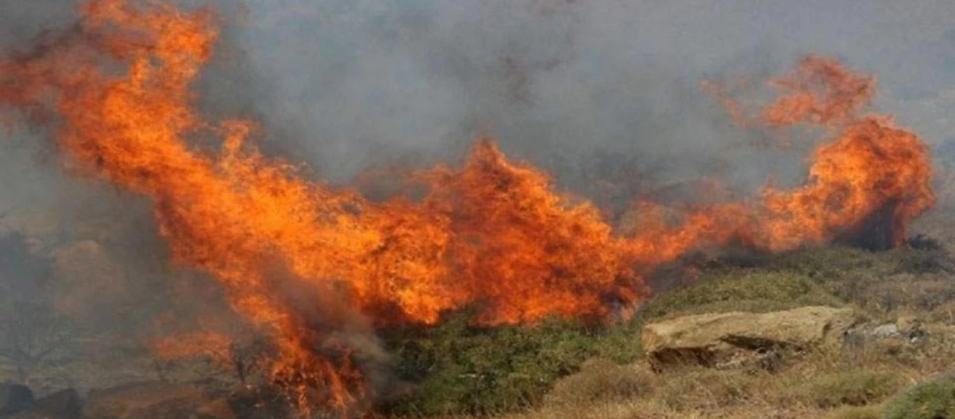 Φωτιά σε γεωργικές εκτάσεις στον Άγιο Θωμά της Κρήτης